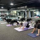 퓨어트다이어트 캠프 이미지