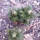 이무기낚시터 이미지