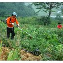 상경목장 이미지