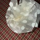 투투여행사 | 0303-0331 일상: 우리는 썩지 않고 익을 겁니다