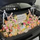 꽃빛나다 - 수원시 영통구 광교중앙로25번길 64 | 꽃빛나다