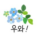 닥터 카테일링 이미지