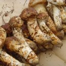 소천중학교 이미지