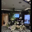 연아짬뽕 | 노보텔 앰배서더 강남 샴페인홀 후기｜계약까지 했던 6각형 베뉴 🥂