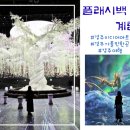 11월 성인 내게 온 문화창고 | 경주가볼만한곳 실내데이트로 좋은 미디어아트 플래시백 계림