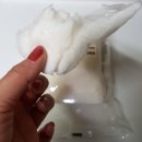 솜사탕약국 이미지