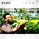 승산농장 이미지