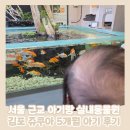 서울 근교 5개월 아기랑 실내동물원 쥬쿠아 김포 후기