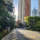 초읍동-18 이미지