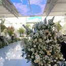 (주)트리티움 | W1. Venue 계약 (더파티움 안양 계약 후기, 계약O, 소개 할인 같이 받아요!)