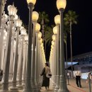P-5905 | 미국 LACMA 전시 미술 로스앤젤레스 뮤지엄 후기