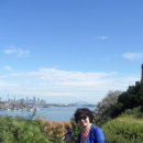 배금주 독사진 이미지