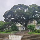 금일초등학교 이미지