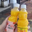 쌈지모텔 | 제주도 2박3일 여행 / 원 데이