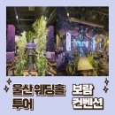 보람수족관 | 울산 웨딩홀투어 보람컨벤션 계약 후기(가격, 견적공유)