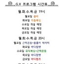 GX GYM 네이버블로그