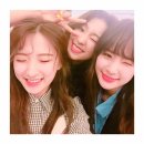 손블리 이미지