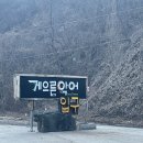 게으른 악어 이미지