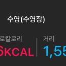 배미수영장 이미지