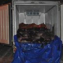 도선장유통 이미지