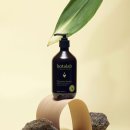 인셀덤 로이 | 김태희 샴푸 리만코리아 보타랩 데저티콜라 샴푸 살펴보기