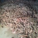 덕암농원 이미지