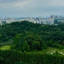 강동-길동-16 이미지