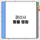 고은동물병원 | 경산시 저렴하면서 잘하는 24시 동물 병원 BEST 3 소개 | 야간 비용