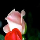 기분좋은하루 이미지