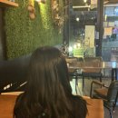 종로맥가 관저점