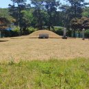 남촌도림동-33 이미지