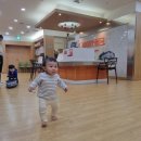 평촌과천짐보리