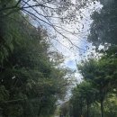 씽~think 보드게임 | 경남 합천글램핑 H글램핑장 1박 솔직 후기