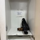 퍼팩트스토리 | 서면 이색데이트 스토리가 재밌었던 부산 방탈출카페 룸즈에이