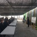 대산문화체육공원(축구장) 이미지