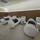 신진피에스