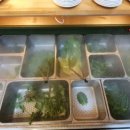 삼겹세상 이미지