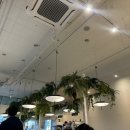 오리엔탈슬로건 | 일주일 두번가고, 또 갈 집 !! 브런치빈 목동 !!