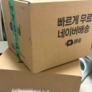 성내게이트볼장옆 | 2025 부산 미니언즈런 다녀온 후기｜실망했던 운영·구성 총평