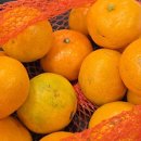 동문로 | 제주 동문시장 소품샵&amp;야시장 구경하기 지갑털리기 딱 좋은 곳⭐