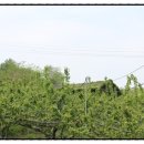 금월농장 이미지