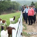 김천목장 이미지