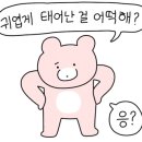 경북가방 네이버블로그