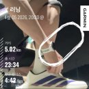 4495 | [구매후기] 디자인과 쿠션감 모두 만족한 아디제로 '에보슬' 'ADIZERO EVO SL'