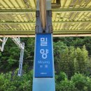차고치는남자 | (경남 밀양)“5월의 흰 물결 속을 걷다” 밀양 위양지 이팝나무 절정 후기