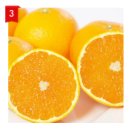 식송농장 이미지