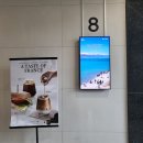 포레스트 피티 스튜디오(FORREST PT STUDIO) | 마곡요가 : 분위기 좋은 젠요가에서 그룹요가 개인요가피티 후기