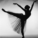 성인발레 이미지