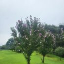 지산슈퍼 | 지산 CC 골프장 라운딩 후기