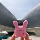 라빗플래닛